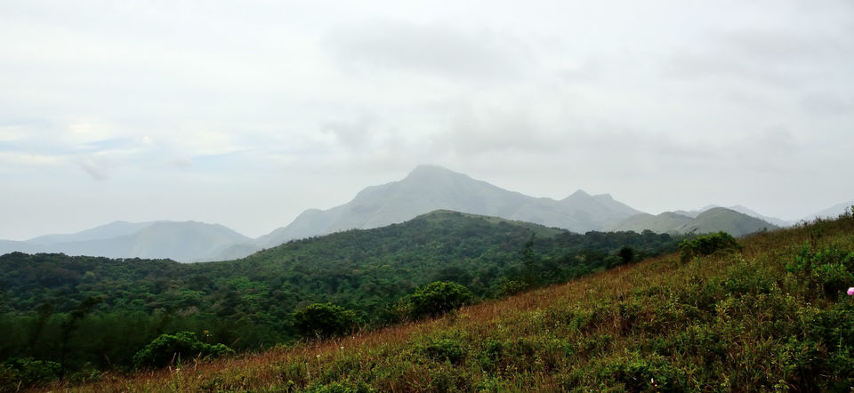 Photo of A trek up the highest peak in Coorg: Tadiandamol! 3/19 by Raj Abhishek
