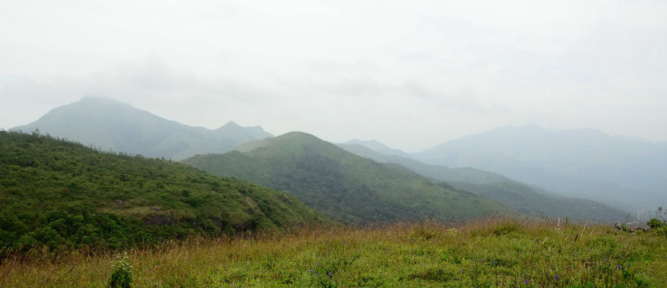 Photo of A trek up the highest peak in Coorg: Tadiandamol! 4/19 by Raj Abhishek