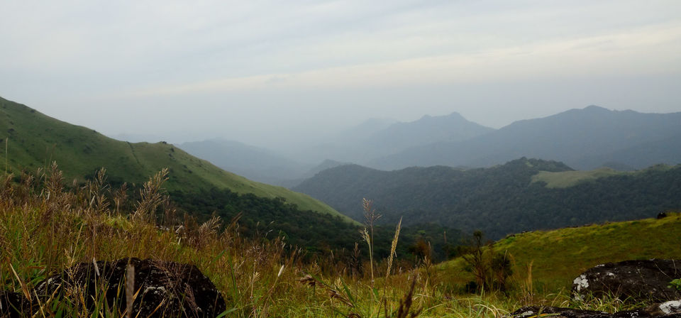 Photo of A trek up the highest peak in Coorg: Tadiandamol! 5/19 by Raj Abhishek