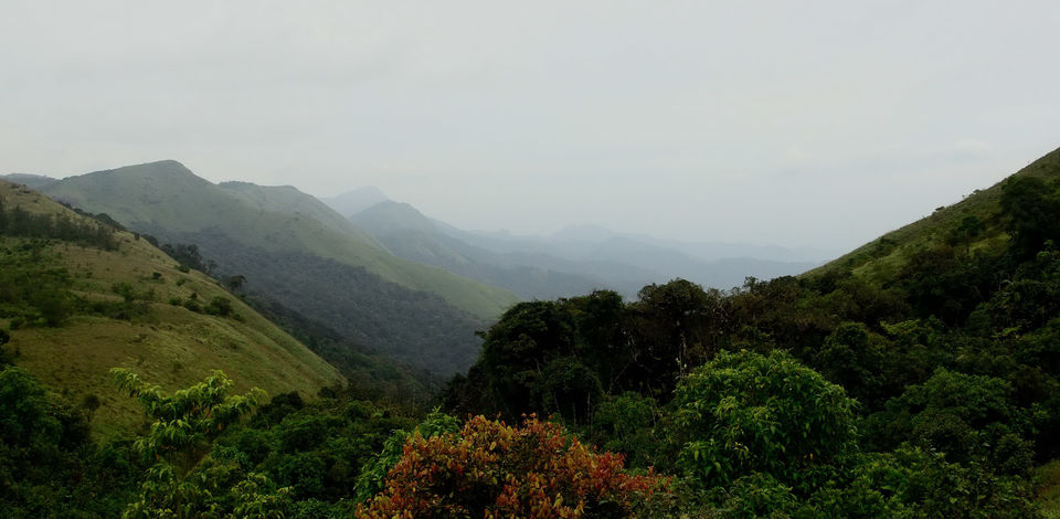 Photo of A trek up the highest peak in Coorg: Tadiandamol! 6/19 by Raj Abhishek