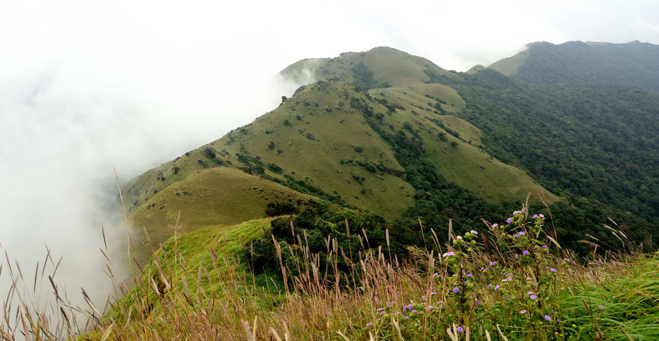Photo of A trek up the highest peak in Coorg: Tadiandamol! 8/19 by Raj Abhishek