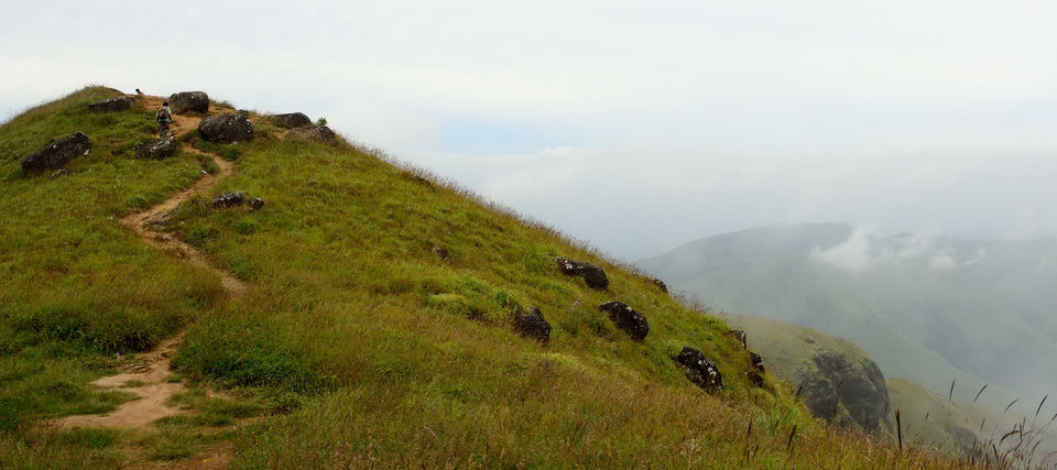 Photo of A trek up the highest peak in Coorg: Tadiandamol! 9/19 by Raj Abhishek