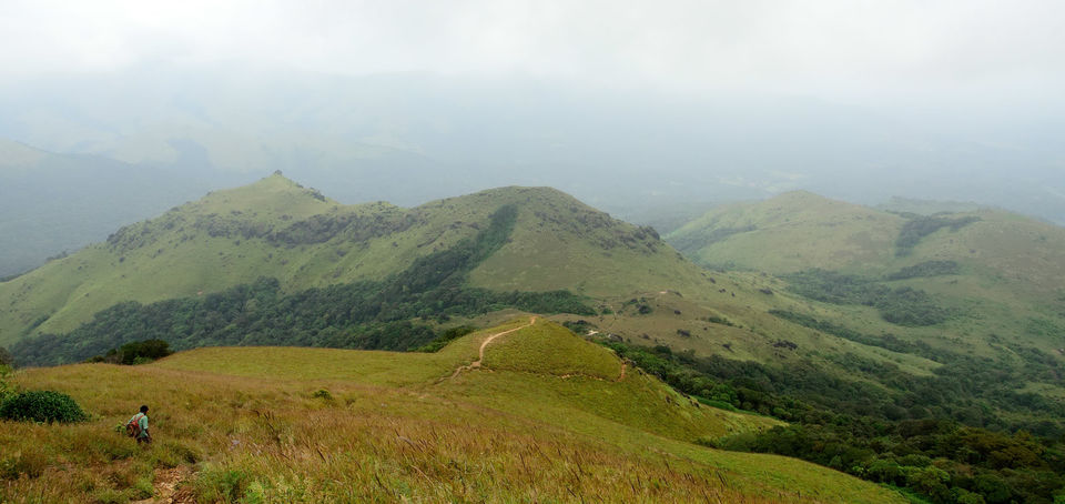 Photo of A trek up the highest peak in Coorg: Tadiandamol! 13/19 by Raj Abhishek