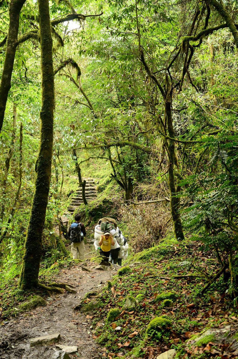 Photo of The famous Poon Hill Trek: Nepal 16/23 by Raj Abhishek