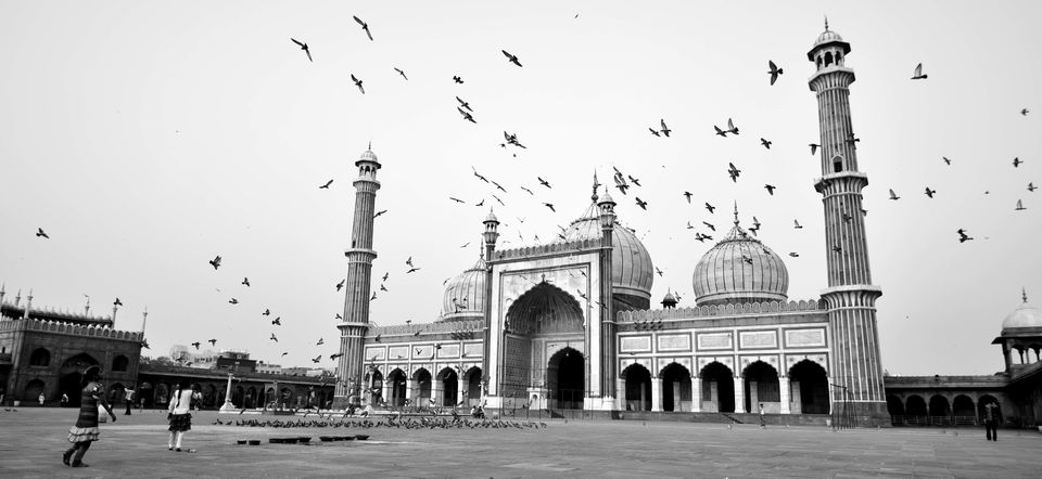 Photo of A few blissful days in Mughal realm: Delhi-Agra ! 1/33 by Raj Abhishek