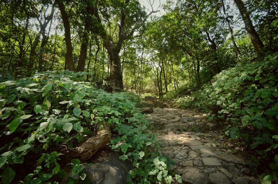 Photo of Kavaledurga Fort, Kavaledurga, Karnataka, India by Raj Abhishek
