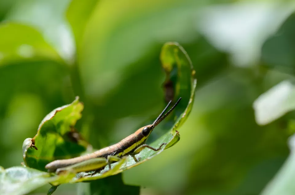 Photo of Peringalkuth powerhouse, Pariyaram, Kerala, India by Raj Abhishek