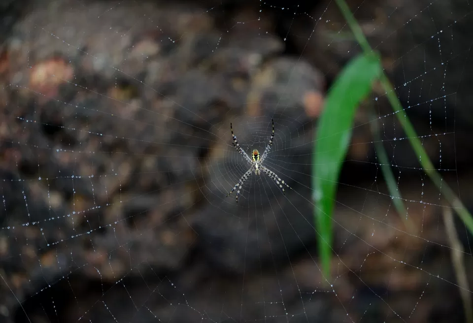 Photo of PWD Rest house, Chalakudy, Kerala, India by Raj Abhishek