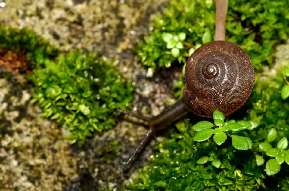 Photo of PWD Rest house, Chalakudy, Kerala, India by Raj Abhishek