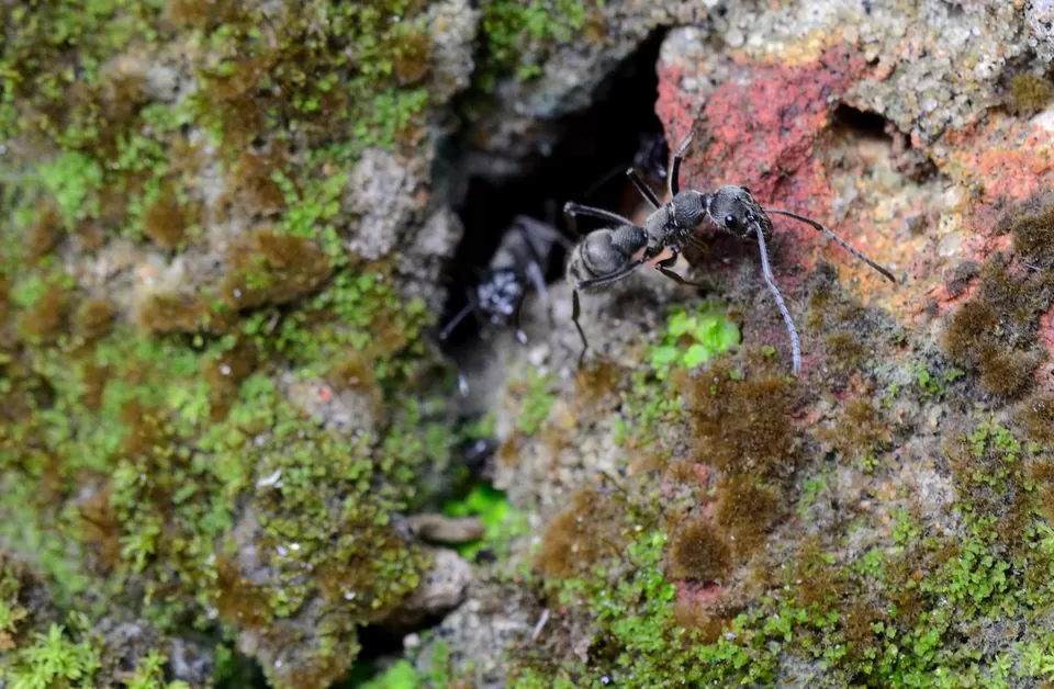 Photo of PWD Rest house, Chalakudy, Kerala, India by Raj Abhishek