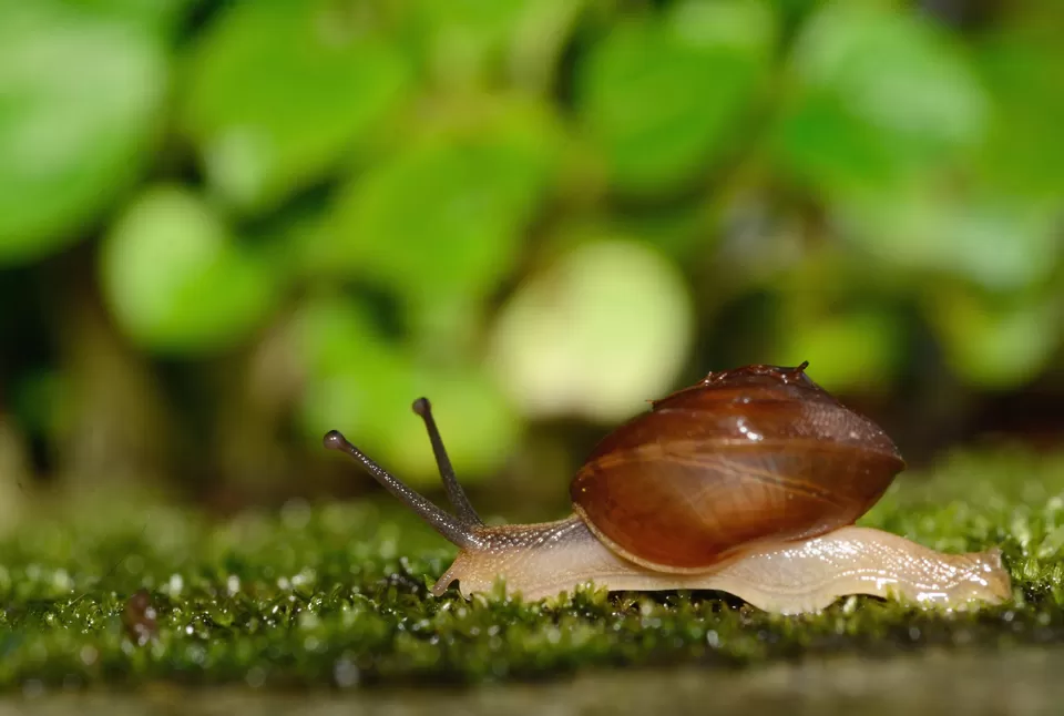 Photo of PWD Rest house, Chalakudy, Kerala, India by Raj Abhishek