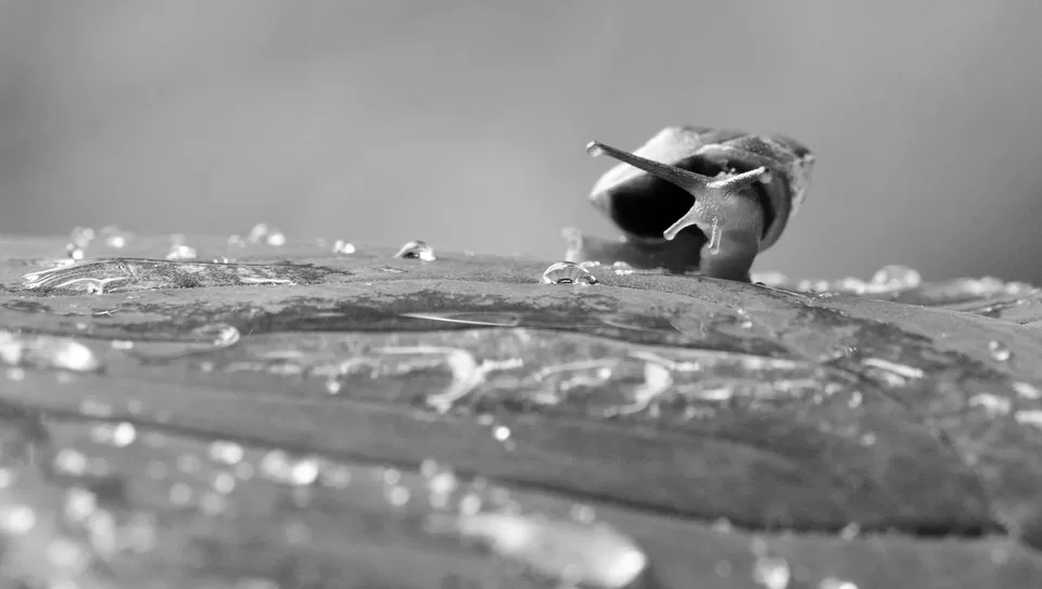 Photo of PWD Rest house, Chalakudy, Kerala, India by Raj Abhishek