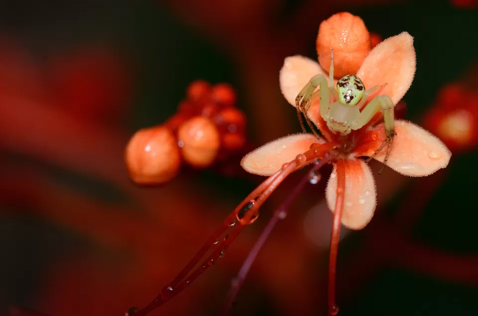 Photo of PWD Rest house, Chalakudy, Kerala, India by Raj Abhishek