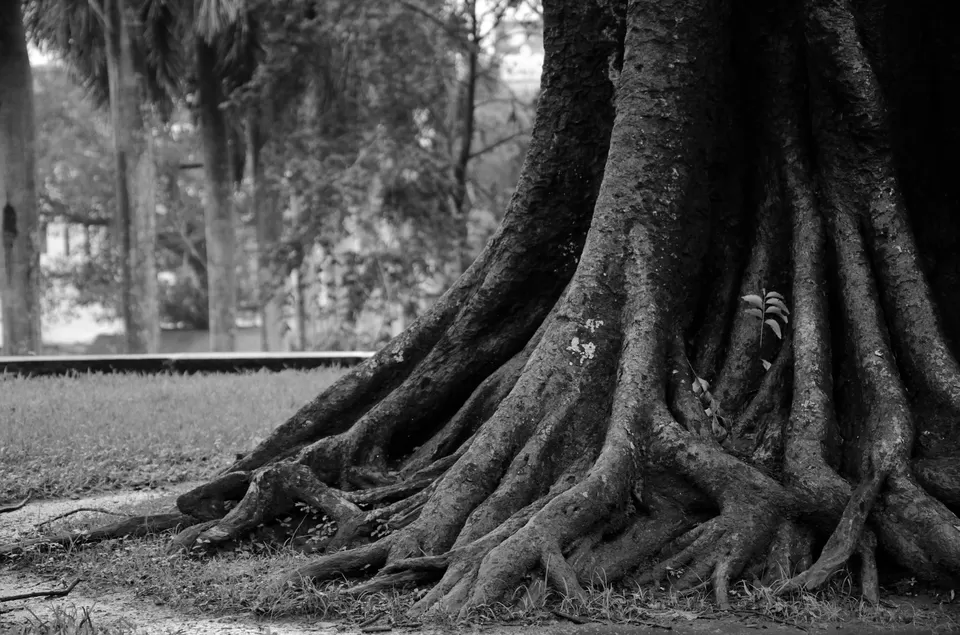 Photo of Sri Vadakkumnathan Shiva Temple, Thrissur, Kerala, India by Raj Abhishek