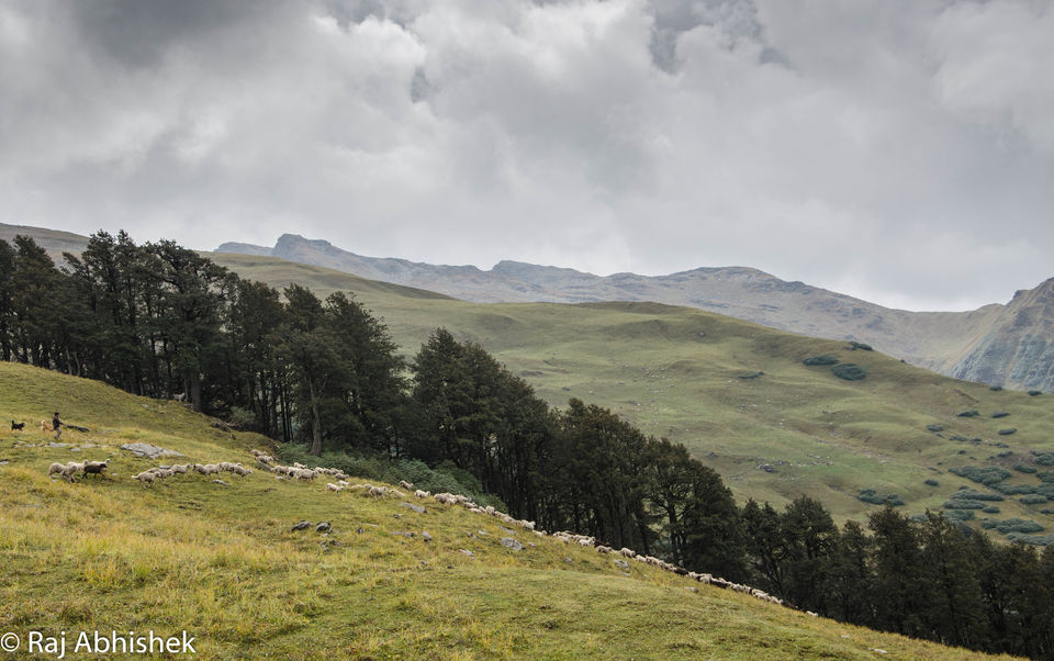 Photo of To 14,000 ft. and back: The Bhrigu Lake trek near Manali ! by Raj Abhishek