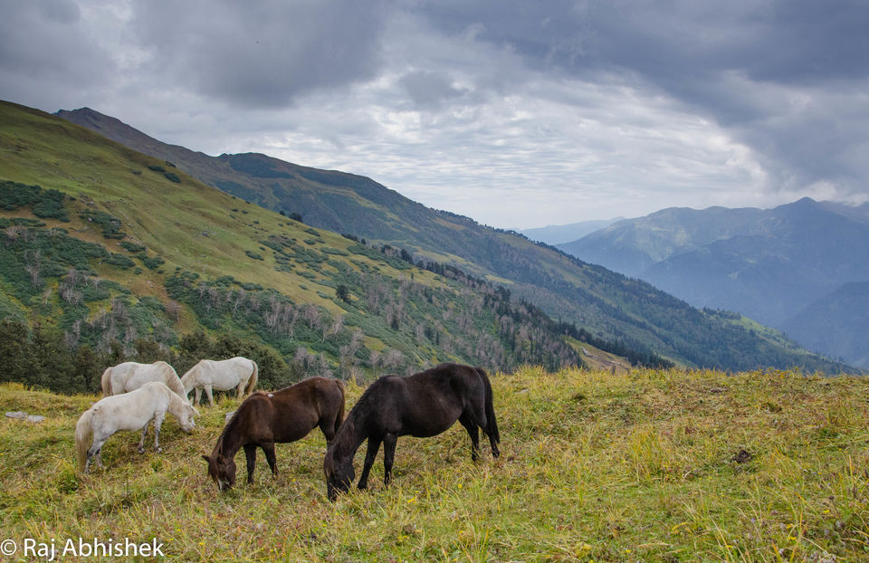 Photo of To 14,000 ft. and back: The Bhrigu Lake trek near Manali ! by Raj Abhishek