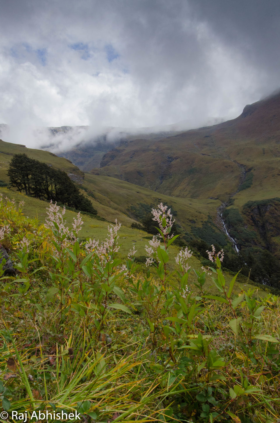 Photo of To 14,000 ft. and back: The Bhrigu Lake trek near Manali ! by Raj Abhishek