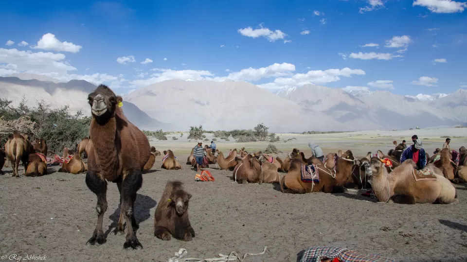 Photo of Hunder by Raj Abhishek