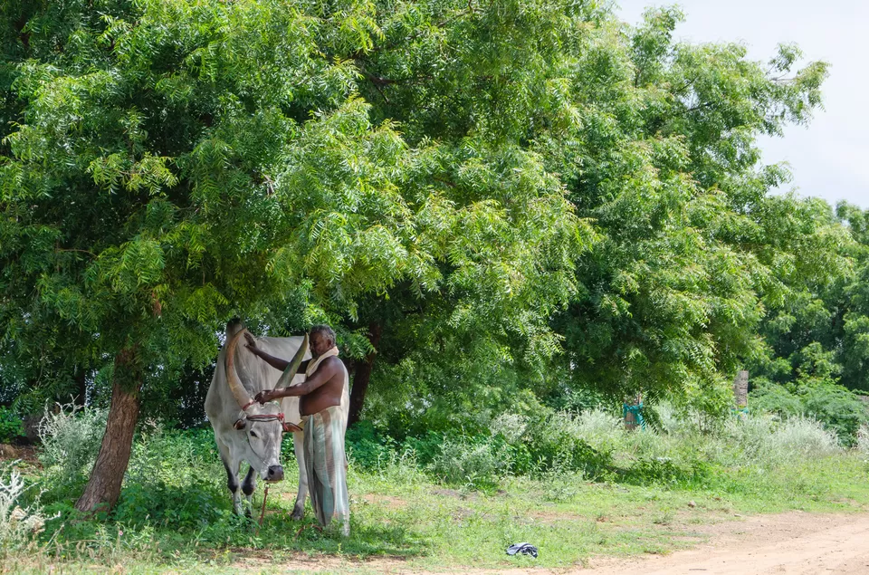 Photo of Karur, Tamil Nadu, India by Raj Abhishek