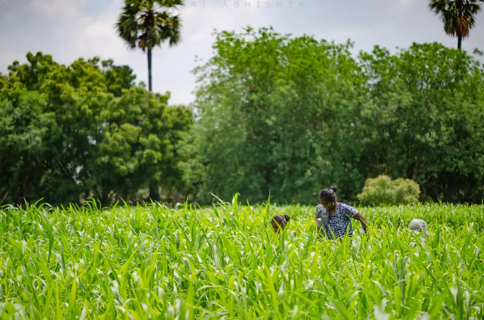 Photo of Karur, Tamil Nadu, India by Raj Abhishek
