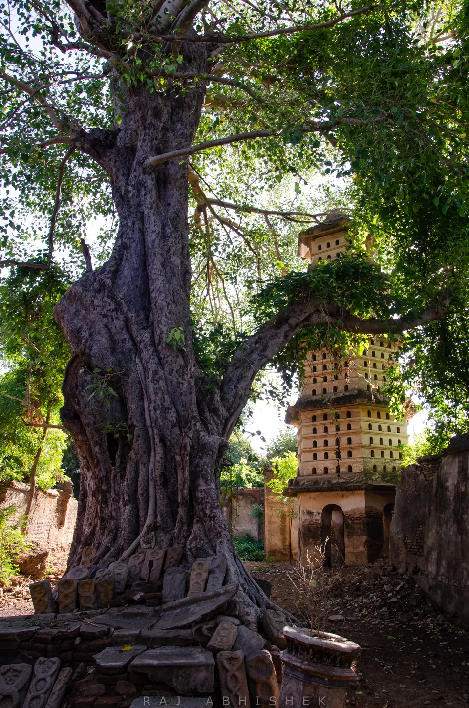 Photo of Thiruvaiyaru, Tamil Nadu, India by Raj Abhishek