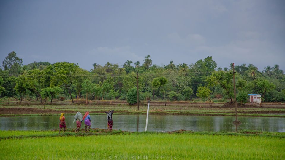 Photo of Indian ruralscapes : A temple tour inside Tamil Country by Raj Abhishek
