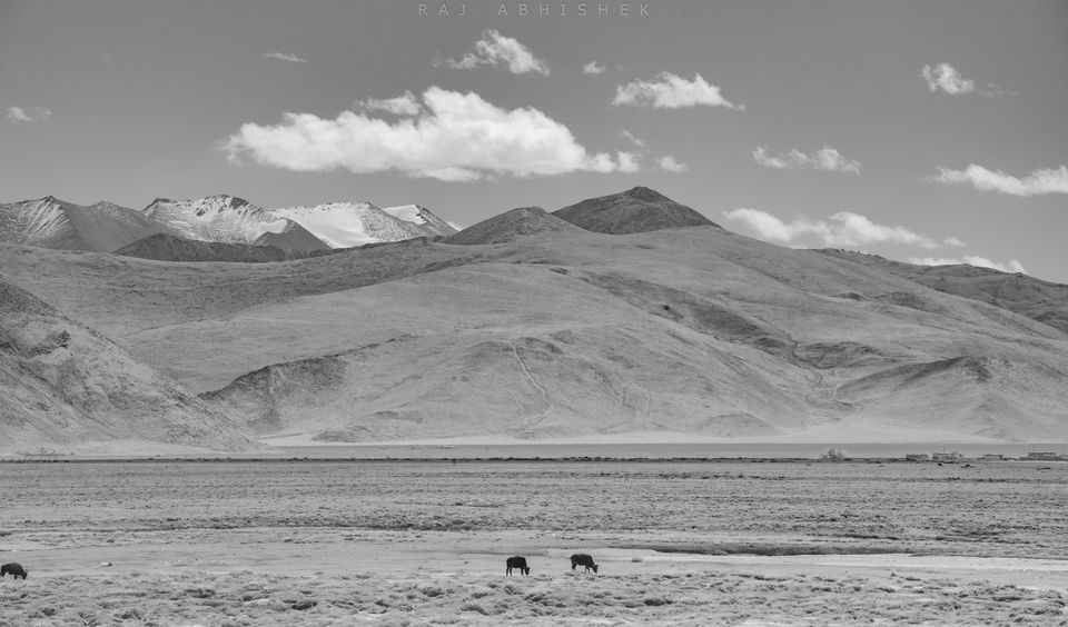 Photo of Ladakh Diaries: Pangong Tso and Tso Moriri; those ‘blues’ that we all love ! by Raj Abhishek