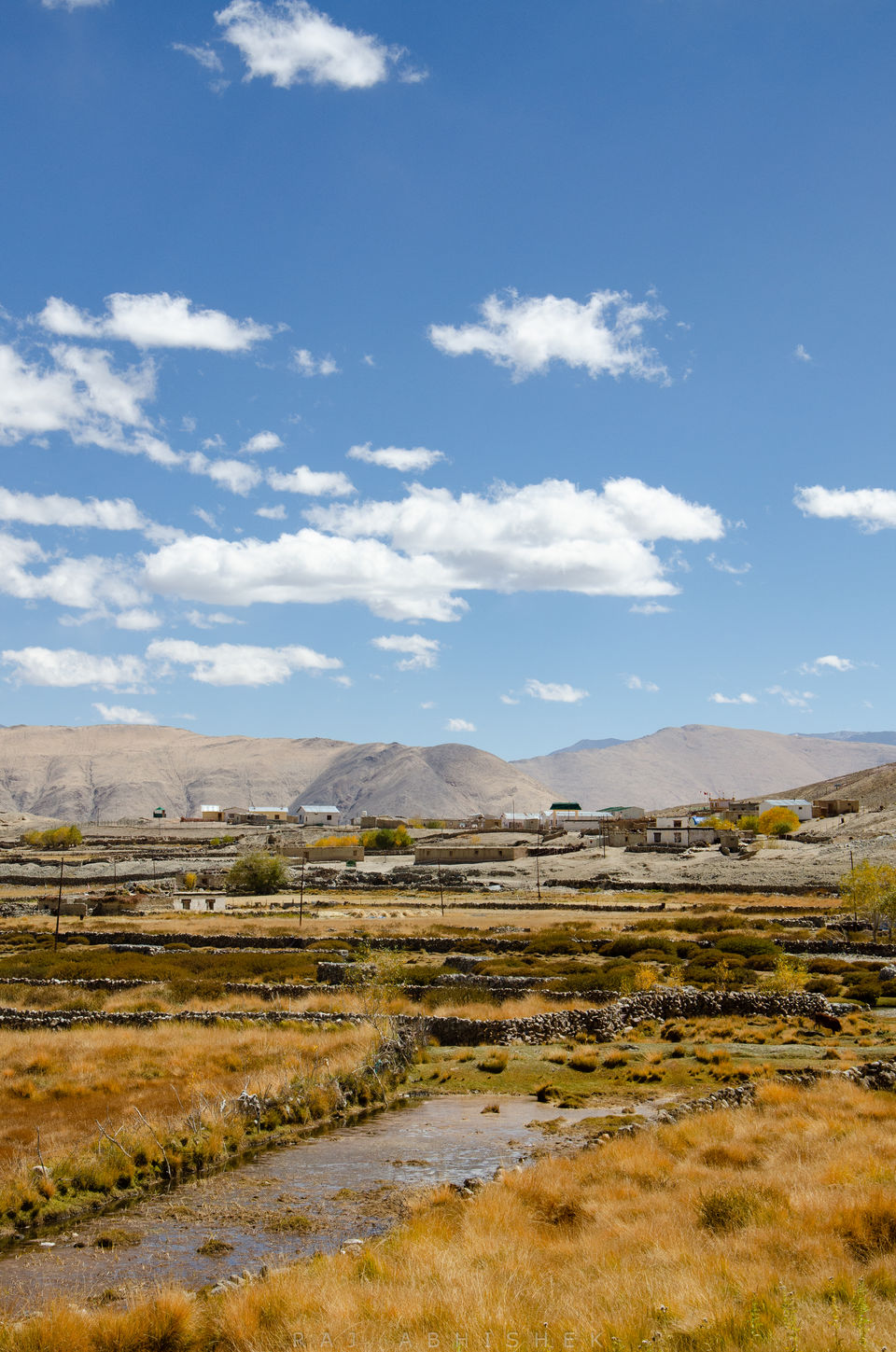 Photo of Ladakh Diaries: Pangong Tso and Tso Moriri; those ‘blues’ that we all love ! by Raj Abhishek