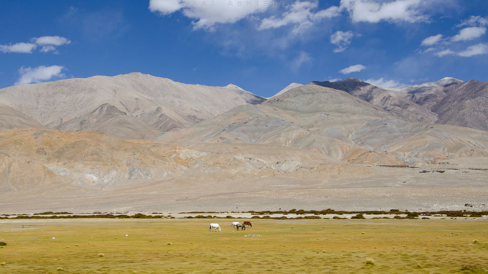 Photo of Ladakh Diaries: Pangong Tso and Tso Moriri; those ‘blues’ that we all love ! by Raj Abhishek