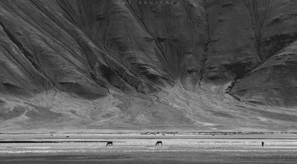 Photo of Ladakh Diaries: Pangong Tso and Tso Moriri; those ‘blues’ that we all love ! by Raj Abhishek