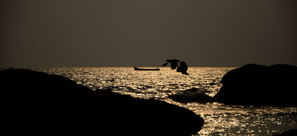 Photo of Beach Bum in Gokarna 11/14 by Raj Abhishek