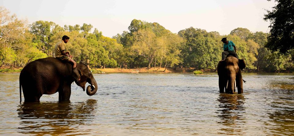 Photo of A sojourn in the hills of Coorg ! 3/13 by Raj Abhishek
