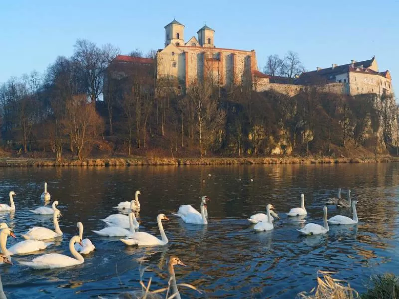 Photo of Things to do in Krakow - Partypedia - Party Krakow by Dawid Nowak