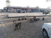 Photo of मोरीगर महादेव मंदिर, कुसमा(सिरोही) 10/13 by vj