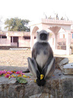 Photo of मोरीगर महादेव मंदिर, कुसमा(सिरोही) 12/13 by vj