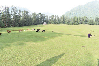Photo of EXPLORE HIMACHAL 1/3 by Keshav Srivastava