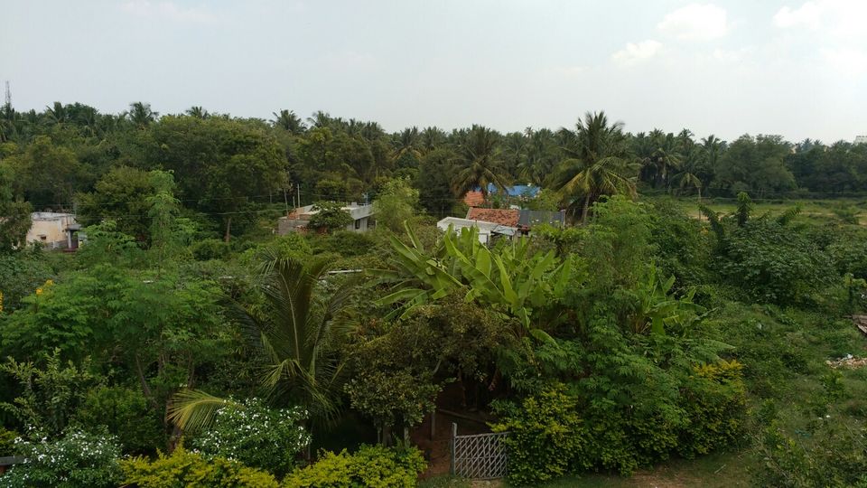 Photo of Mysore, Karnataka, India by Avinash Varma