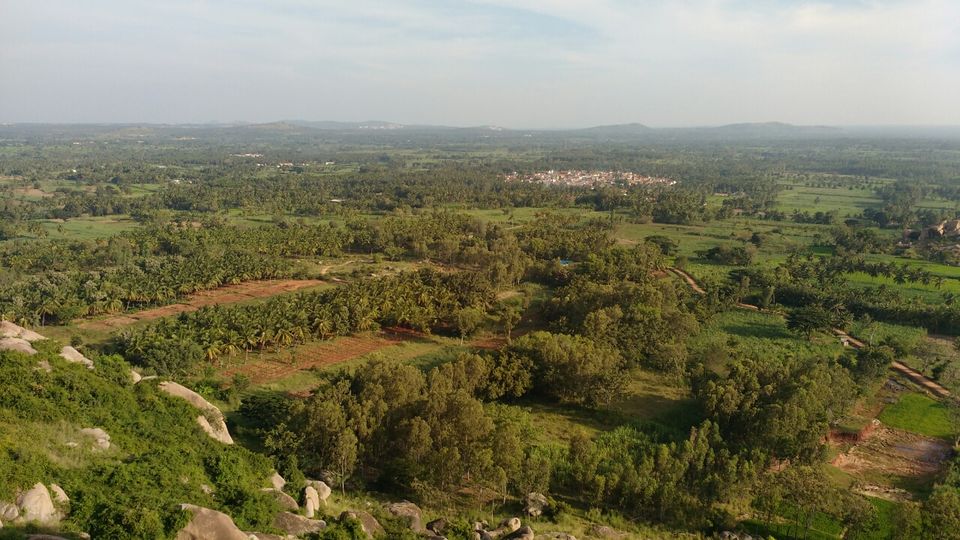 Photo of Mysore, Karnataka, India by Avinash Varma