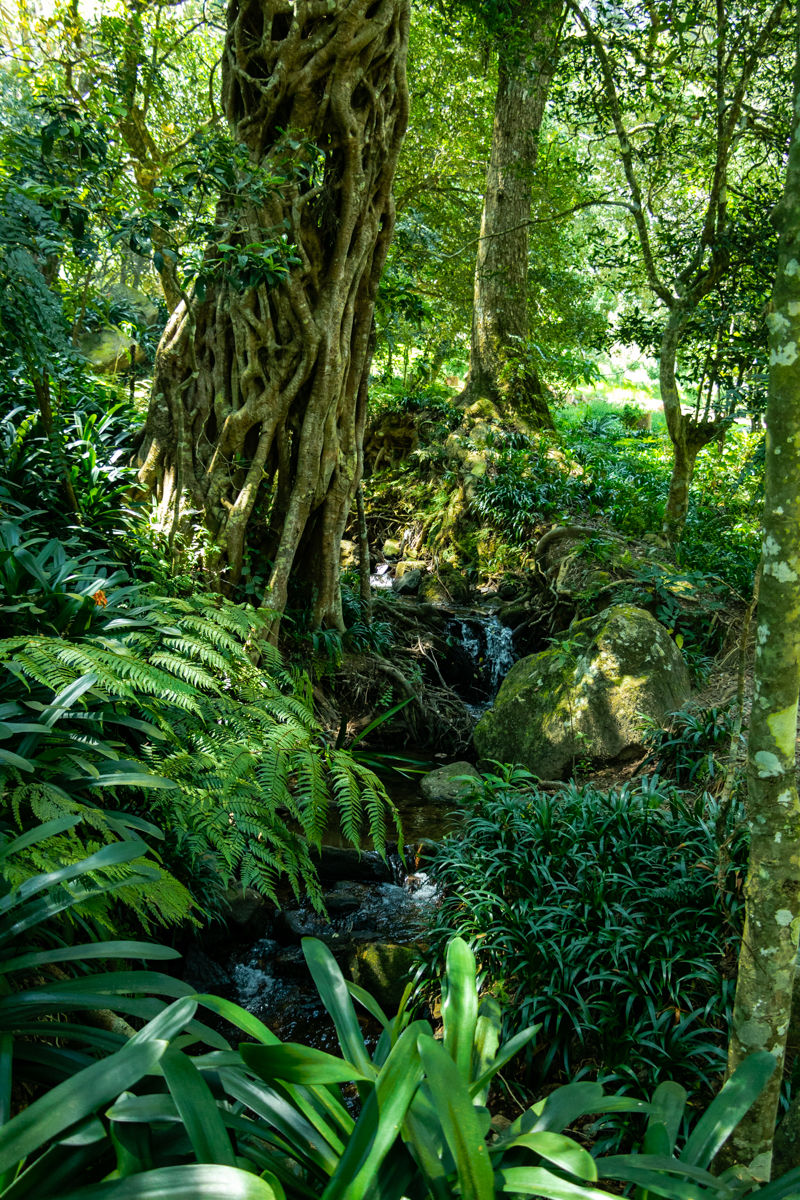 Photo of Nuwara Eliya, Sri Lanka by Ameet Kela
