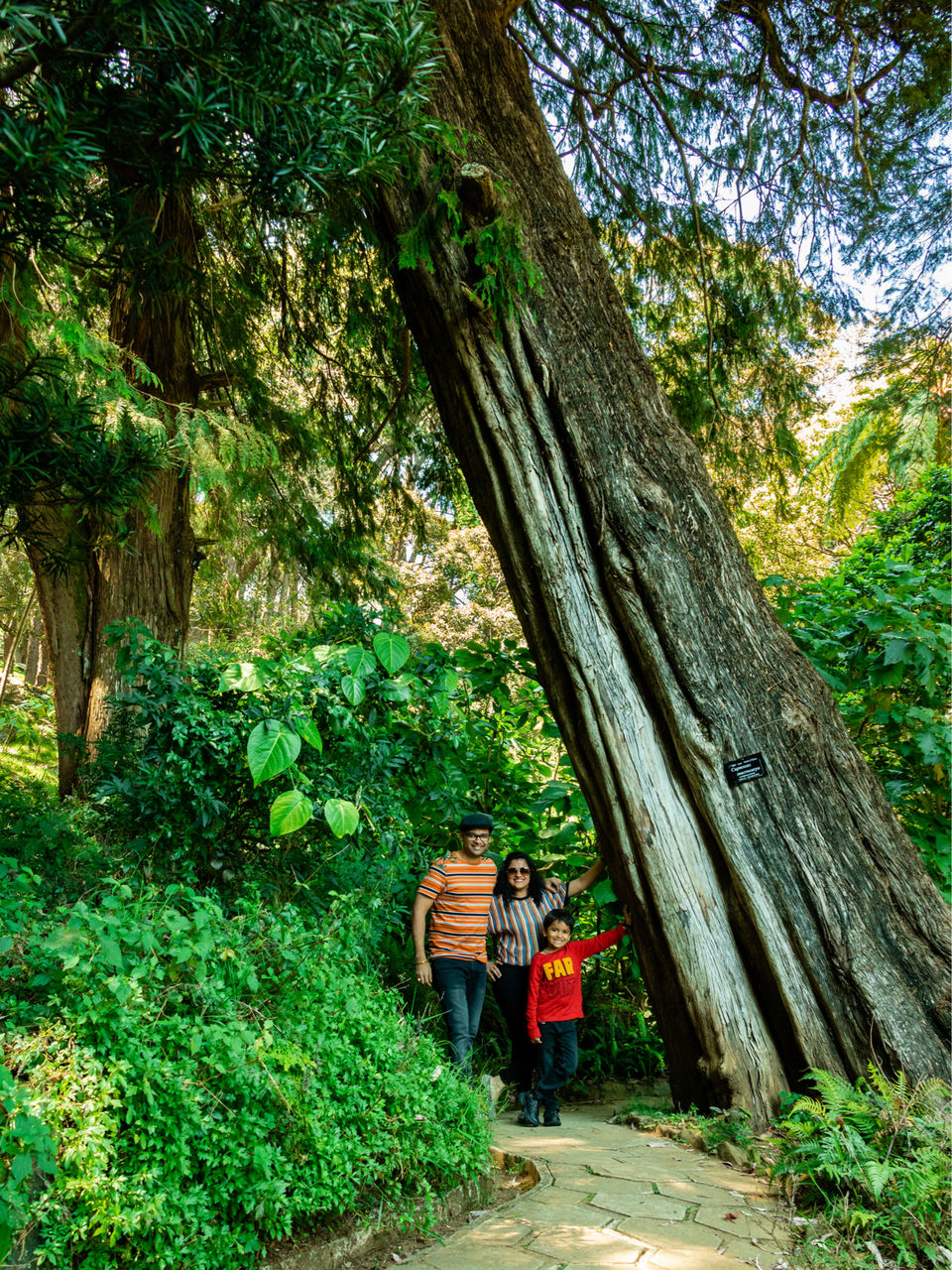 Photo of Nuwara Eliya, Sri Lanka by Ameet Kela