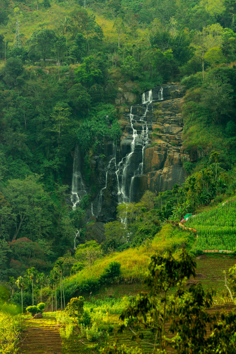 Photo of Ella Nature view, Ella, Sri Lanka by Ameet Kela