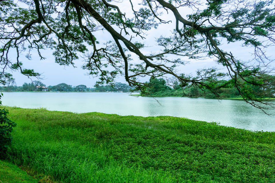 Photo of Mirissa, Sri Lanka by Ameet Kela