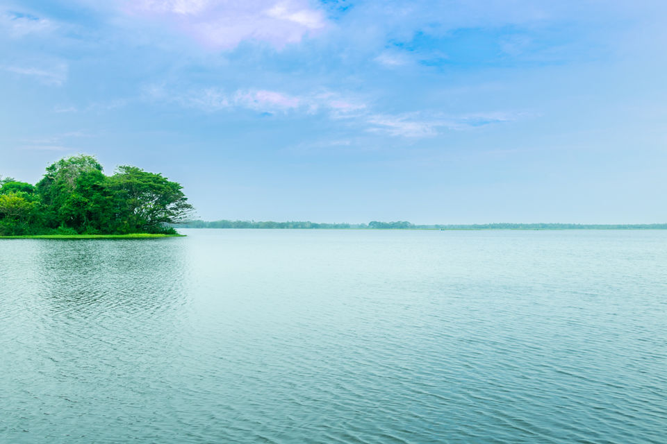 Photo of Mirissa, Sri Lanka by Ameet Kela