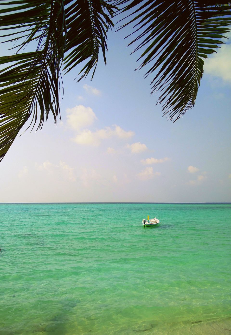 Photo of To the Blue and Beyond... 1/2 by Sarba Basu