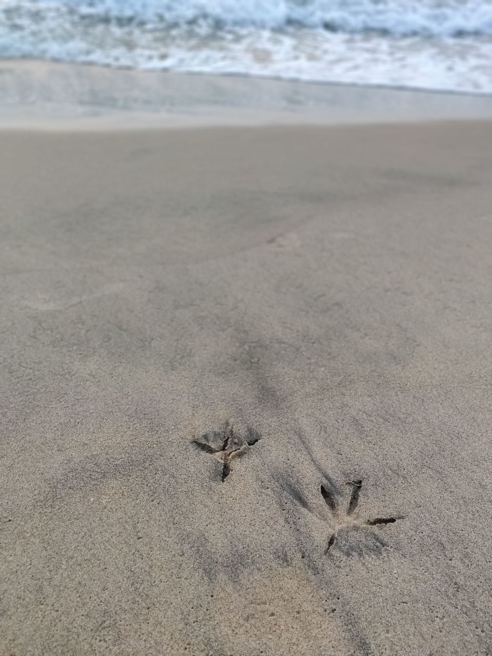 Photo of Of Sandcastles and Seagulls #staycation by Sarba Basu