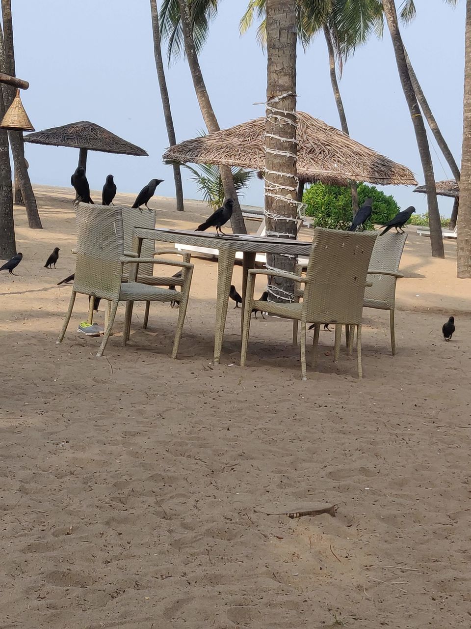 Photo of Of Sandcastles and Seagulls #staycation by Sarba Basu