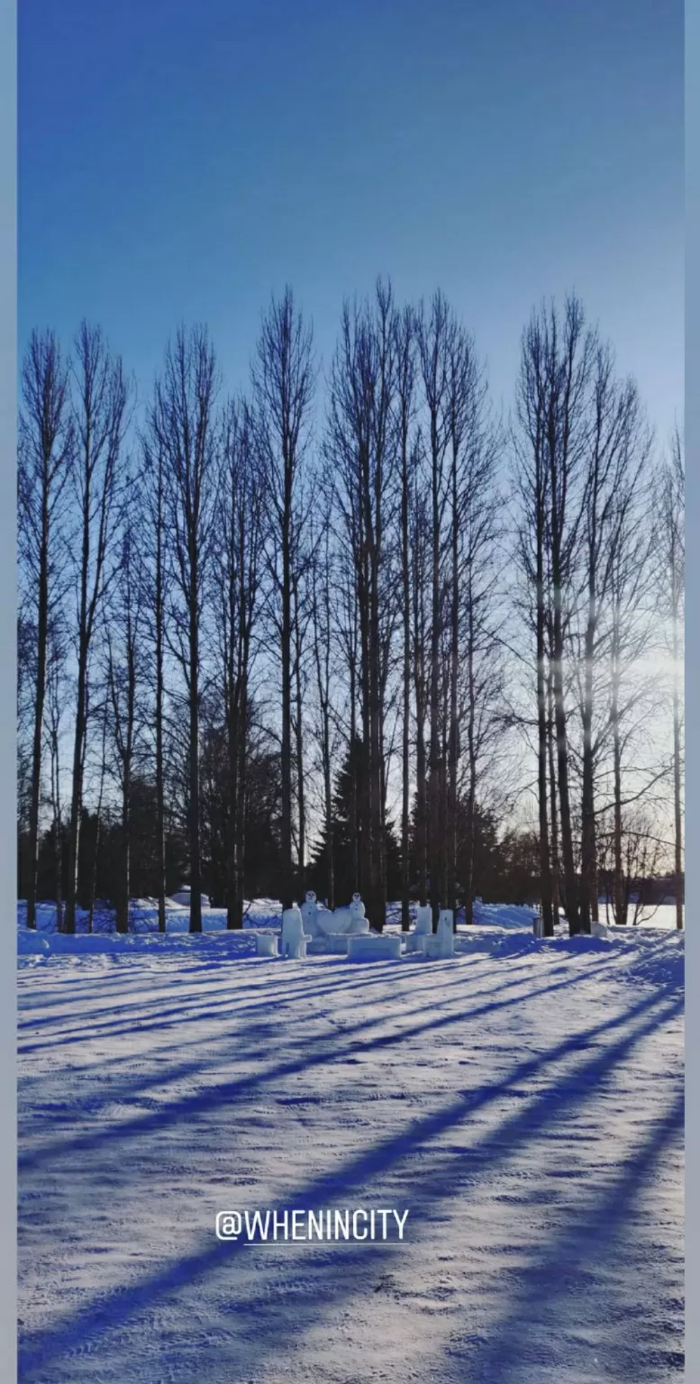 Photo of Rovaniemi By Manasi Mankatty