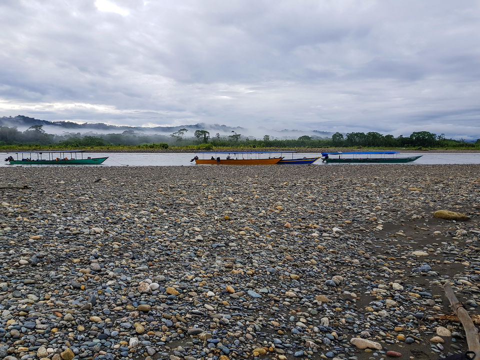 Photo of An honest review of visiting Manu National Park by suva jana