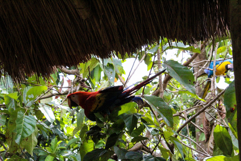 Photo of Peru by suva jana