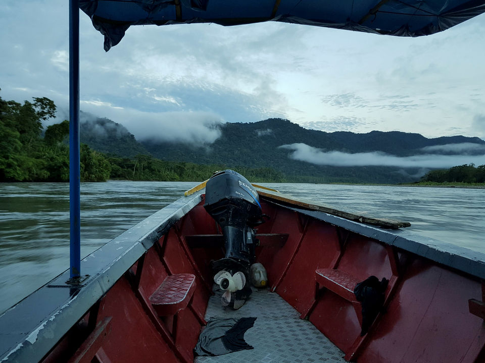 Photo of An honest review of visiting Manu National Park by suva jana